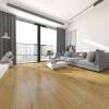 Picture of 5mm SPC Click Flooring, Wear-Resistant Non-Slip, for Music and Dance Studio Renovations