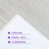 Picture of Flame Retardant Modern Minimalist Glue-Free SPC Flooring for Commercial Fit-Outs