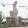 Picture of Zinc Steel and Aluminium Fence Posts and Palisade for Estates, Schools and Gardens