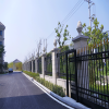 Picture of Galvanised Steel Picket Fence, New Style Balustrade for Estates, Villas and Schools