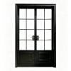 Picture of French Vintage Aluminium Double Door, Hinged or Folding, for Balcony, Study, Courtyard and Entry