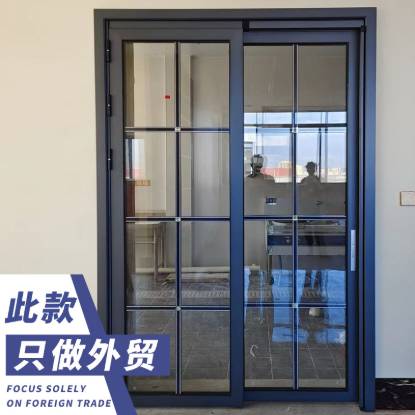 Picture of Ultra Slim PT Glass Door, Sliding, Hinged, Folding or Double Leaf, for Kitchens and Bathrooms