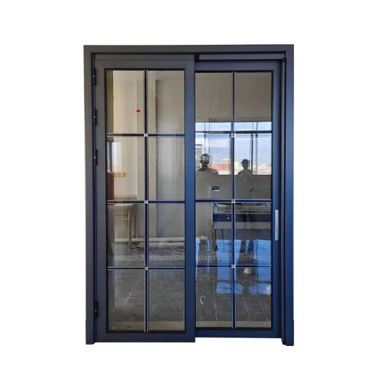 Picture of Ultra Slim PT Glass Door, Sliding, Hinged, Folding or Double Leaf, for Kitchens and Bathrooms