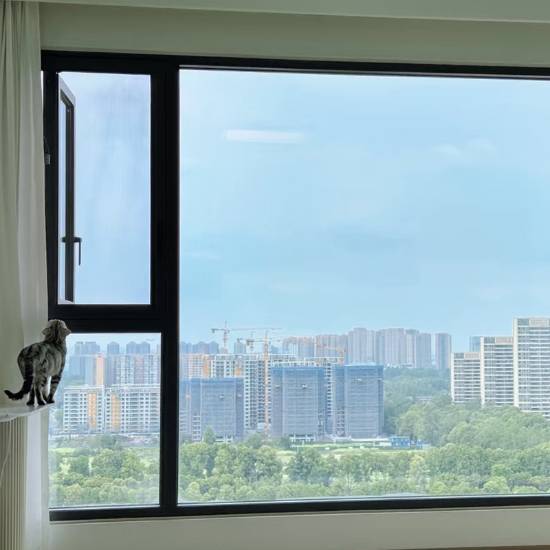 Picture of Replacement Casement Window, Insulated, Soundproof, Security, with Insect Screen