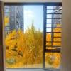Picture of Custom Thermal Break Aluminium Floor-to-Ceiling Door and Window System, Casement