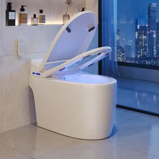 Smart toilet, heated seat, dual flush